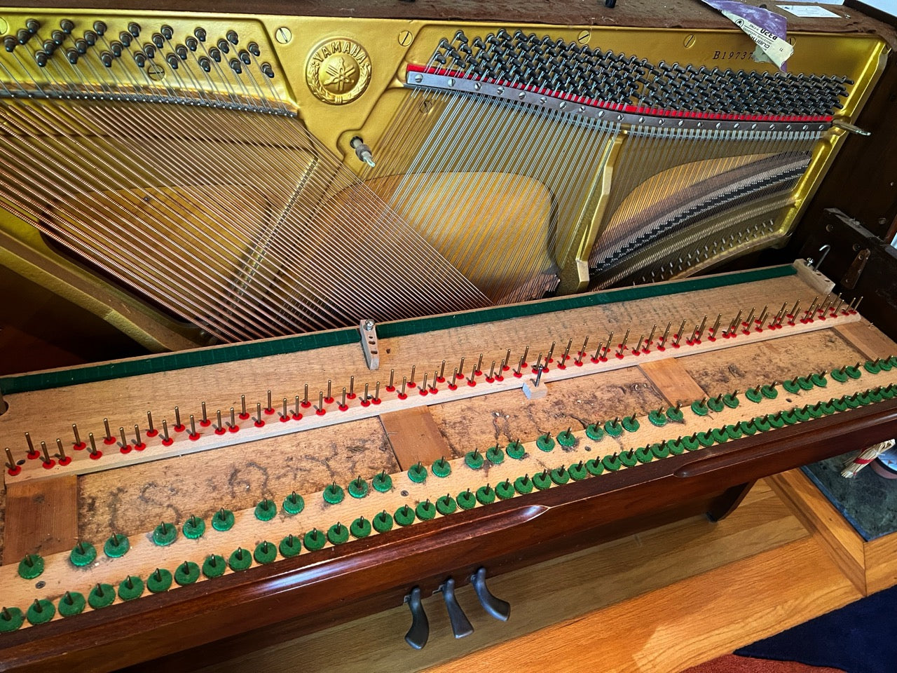 Inside a Piano - Artisan Piano Tuning and Restoration